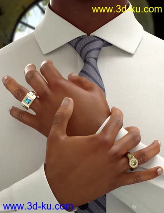 3D打印模型Gorgeous Rings for Genesis 8 Male(s)的图片