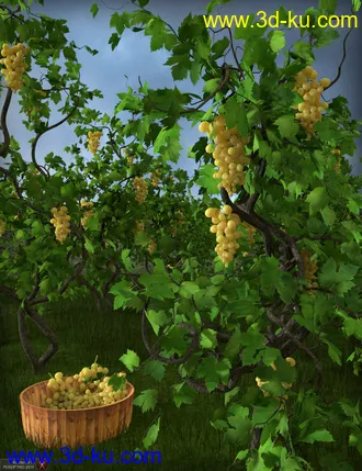 3D打印模型Grapevines的图片