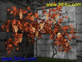 3D打印模型Grapevines的图片