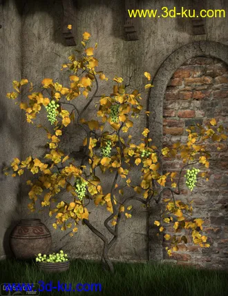 3D打印模型Grapevines的图片