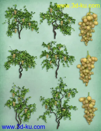 3D打印模型Grapevines的图片
