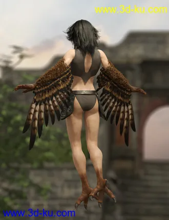 3D打印模型Harpy for Genesis 8 Female的图片