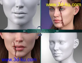 3D打印模型HD Face Wounds 2 for Genesis 3 & 8 Female(s)的图片