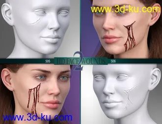 3D打印模型HD Face Wounds 2 for Genesis 3 & 8 Female(s)的图片