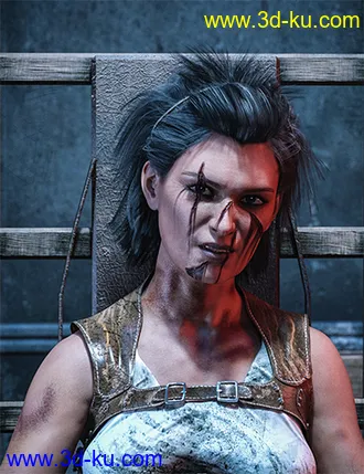 3D打印模型HD Face Wounds for Genesis 3 & 8 Female(s)的图片