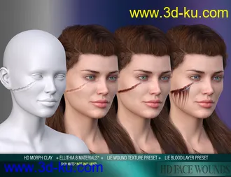 3D打印模型HD Face Wounds for Genesis 3 & 8 Female(s)的图片