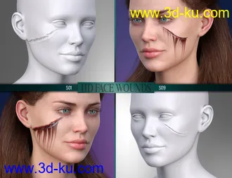 3D打印模型HD Face Wounds for Genesis 3 & 8 Female(s)的图片