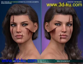 3D打印模型HD Face Wounds for Genesis 3 & 8 Female(s)的图片