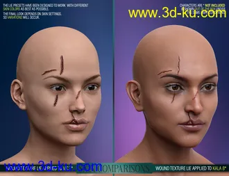 3D打印模型HD Face Wounds for Genesis 3 & 8 Female(s)的图片