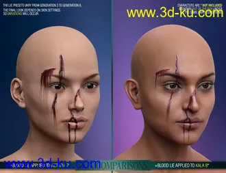 3D打印模型HD Face Wounds for Genesis 3 & 8 Female(s)的图片