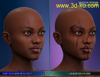 3D打印模型HD Face Wounds for Genesis 3 & 8 Female(s)的图片