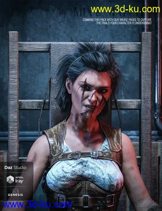 3D打印模型HD Face Wounds for Genesis 3 & 8 Female(s)的图片