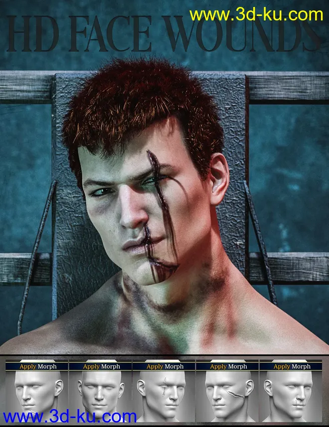 HD Face Wounds for Genesis 3 & 8 Male(s)模型的图片1