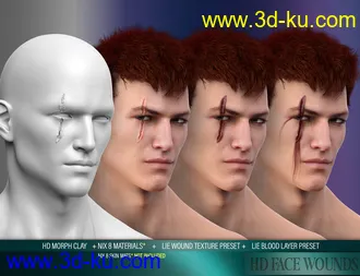 3D打印模型HD Face Wounds for Genesis 3 & 8 Male(s)的图片