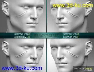 3D打印模型HD Face Wounds for Genesis 3 & 8 Male(s)的图片