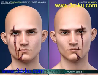 3D打印模型HD Face Wounds for Genesis 3 & 8 Male(s)的图片