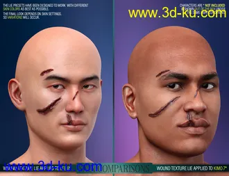 3D打印模型HD Face Wounds for Genesis 3 & 8 Male(s)的图片