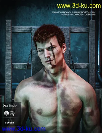3D打印模型HD Face Wounds for Genesis 3 & 8 Male(s)的图片