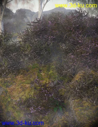 3D打印模型Heather - Heath and Moorland Plants for Daz Studio的图片