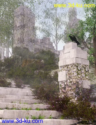 3D打印模型Heather - Heath and Moorland Plants for Daz Studio的图片