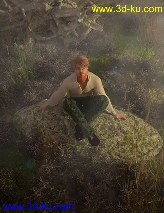 3D打印模型Heather - Heath and Moorland Plants for Daz Studio的图片