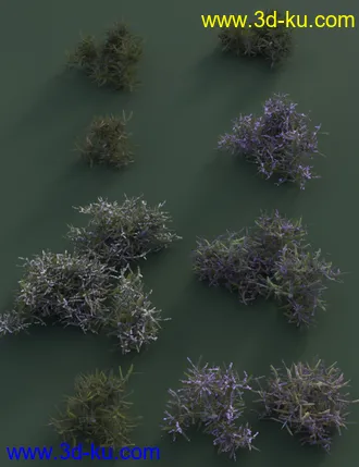 3D打印模型Heather - Heath and Moorland Plants for Daz Studio的图片