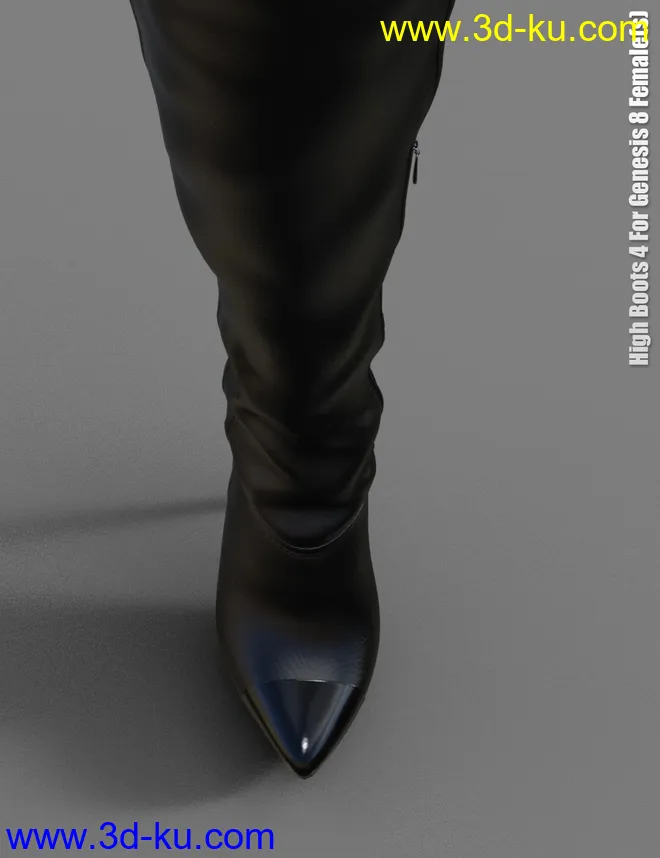High Boots 4 for Genesis 8 Female(s)模型的图片3