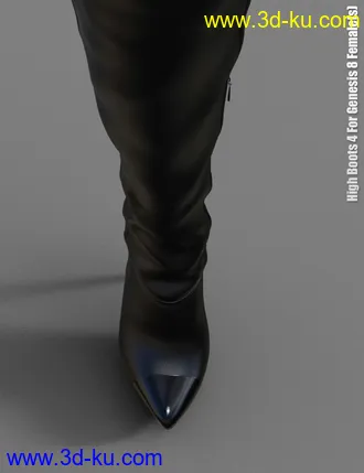 3D打印模型High Boots 4 for Genesis 8 Female(s)的图片