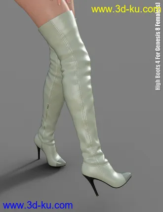 3D打印模型High Boots 4 for Genesis 8 Female(s)的图片