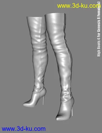 3D打印模型High Boots 4 for Genesis 8 Female(s)的图片