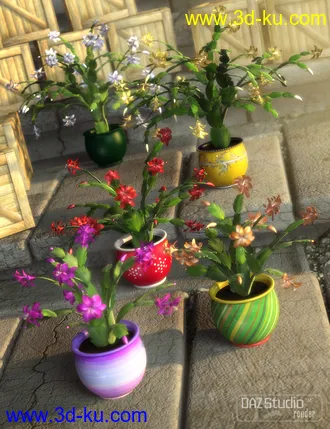 3D打印模型Holiday Cactus的图片