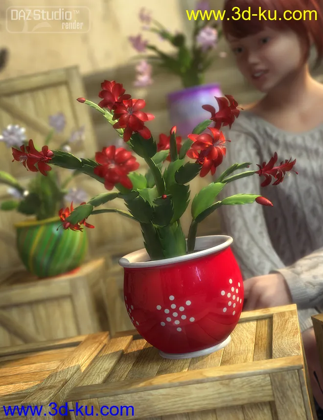 Holiday Cactus模型的图片2
