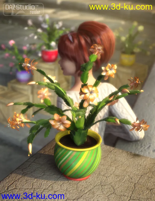 Holiday Cactus模型的图片3