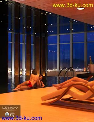 3D打印模型Hotel Pool的图片
