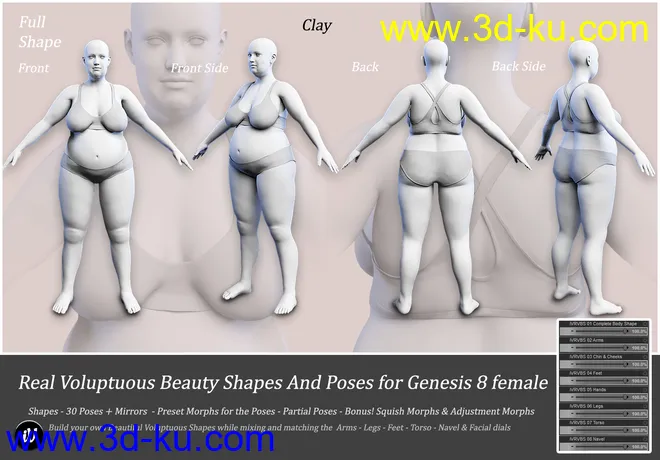 iV Real Voluptuous Beauty Shapes And Poses for Genesis 8 Female(s)模型的图片3