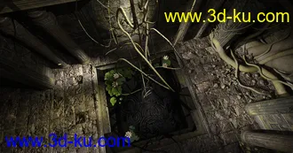 3D打印模型Jungle Water Temple的图片