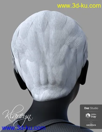 3D打印模型Klareyn Short Hair for Genesis 8 Female(s)的图片