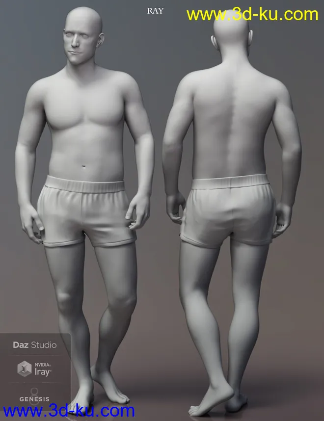 Leading Male Morph Collection 2 for Genesis 8 Male(s)模型的图片2