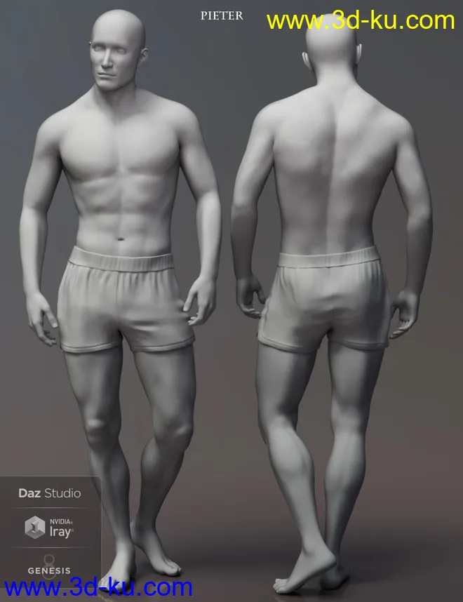 Leading Male Morph Collection 2 for Genesis 8 Male(s)模型的图片3