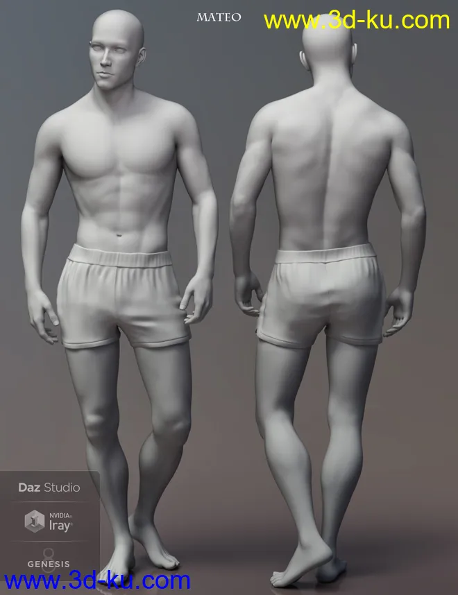 Leading Male Morph Collection 2 for Genesis 8 Male(s)模型的图片6
