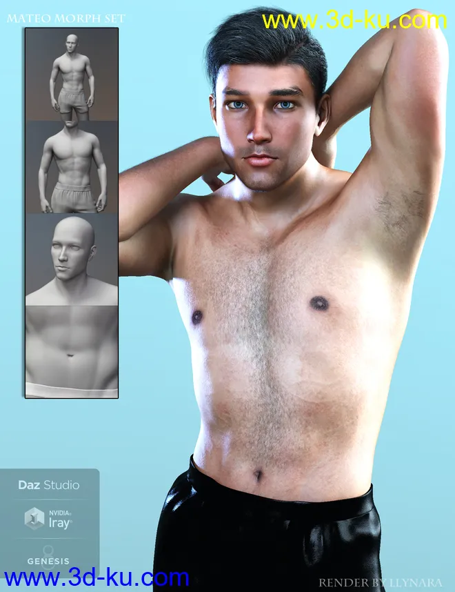 Leading Male Morph Collection 2 for Genesis 8 Male(s)模型的图片10