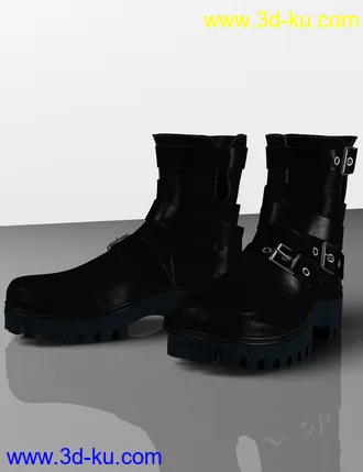 3D打印模型Leather Boots for Genesis 2, 3 and 8 Female(s)的图片