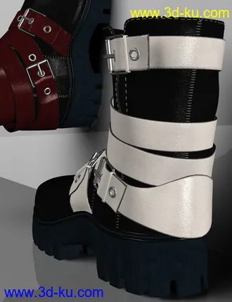 3D打印模型Leather Boots for Genesis 2, 3 and 8 Female(s)的图片