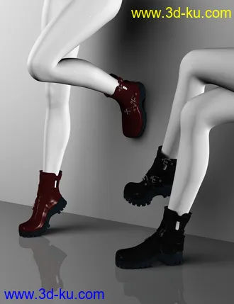 3D打印模型Leather Boots for Genesis 2, 3 and 8 Female(s)的图片