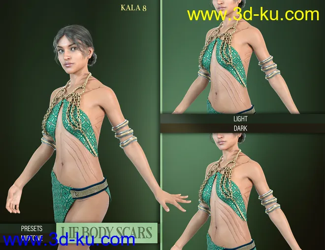 LIE Body Scars for Genesis 3 & 8 Female(s)模型的图片1