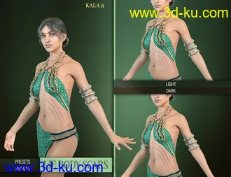 3D打印模型LIE Body Scars for Genesis 3 & 8 Female(s)的图片