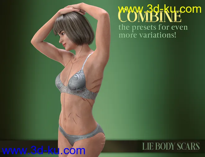 LIE Body Scars for Genesis 3 & 8 Female(s)模型的图片4
