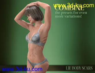 3D打印模型LIE Body Scars for Genesis 3 & 8 Female(s)的图片