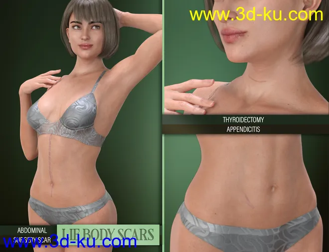 LIE Body Scars for Genesis 3 & 8 Female(s)模型的图片5