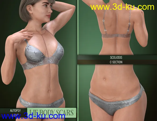 LIE Body Scars for Genesis 3 & 8 Female(s)模型的图片6
